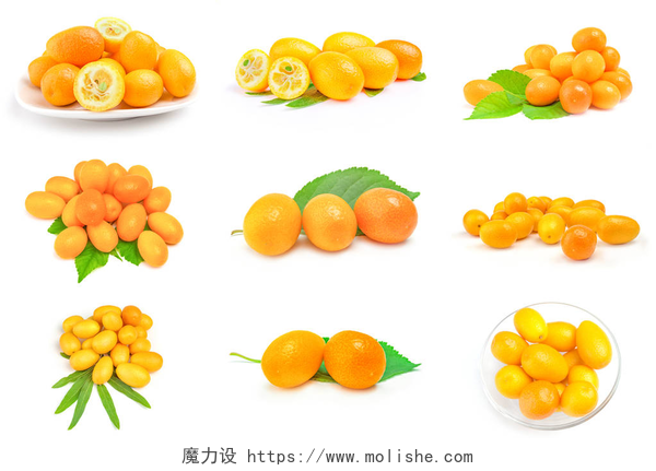白色背景上的橘子用剪切路径在白色背景上隔离的金橘的集合